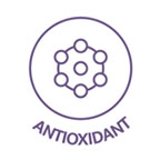 modern skincare